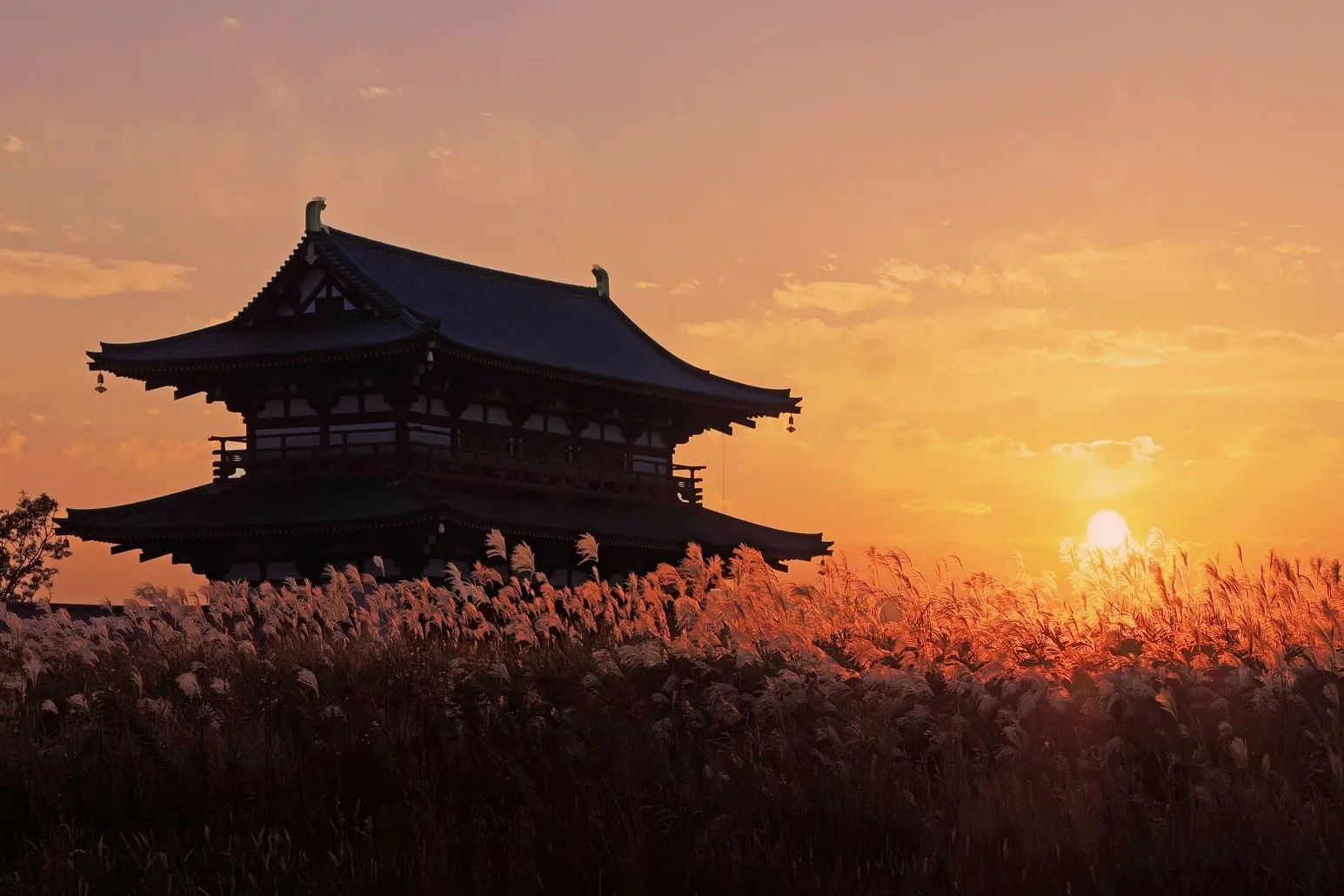 朱雀門と夕陽 No.0000