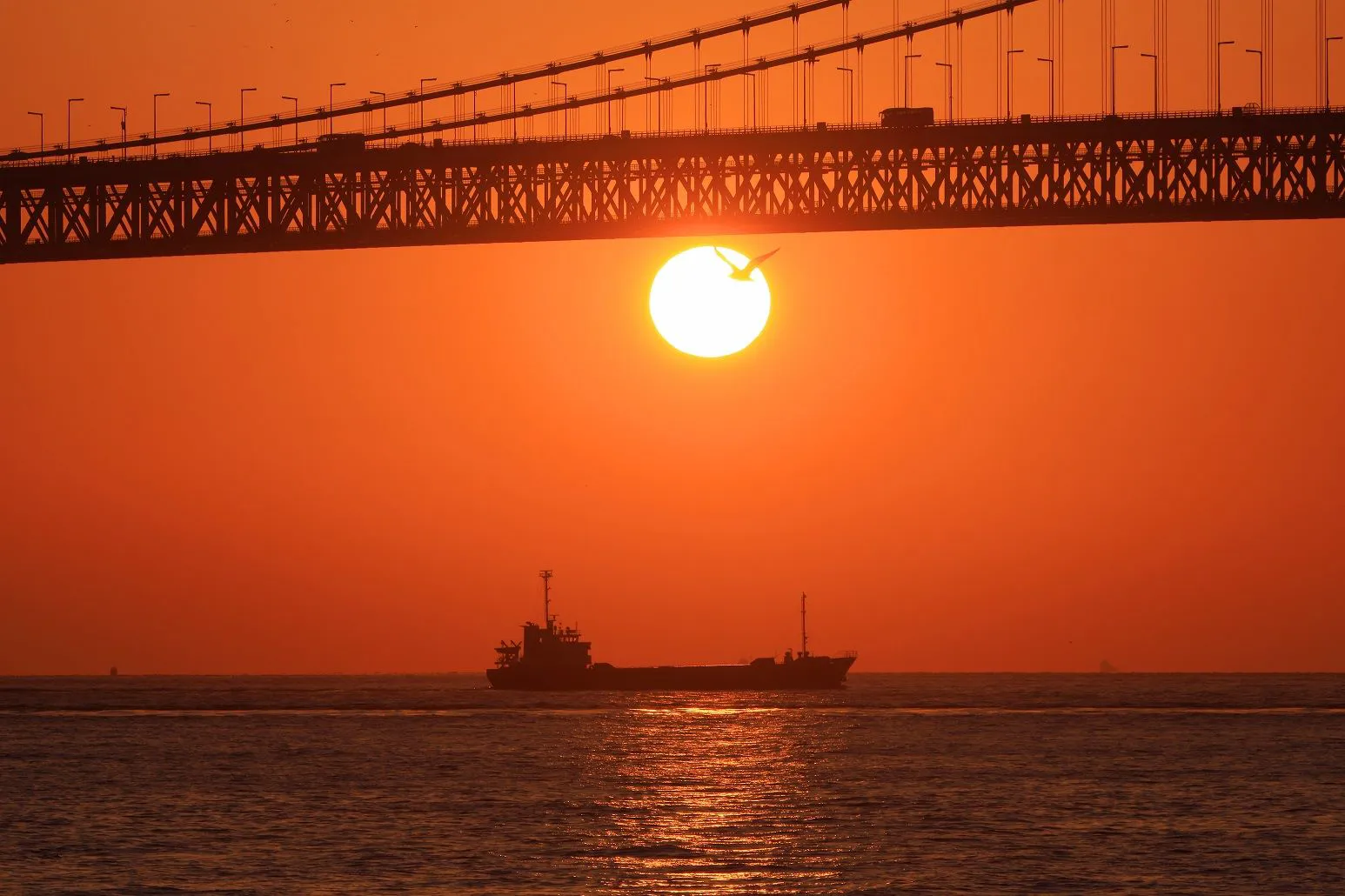 明石海峡大橋と夕陽 No.0000