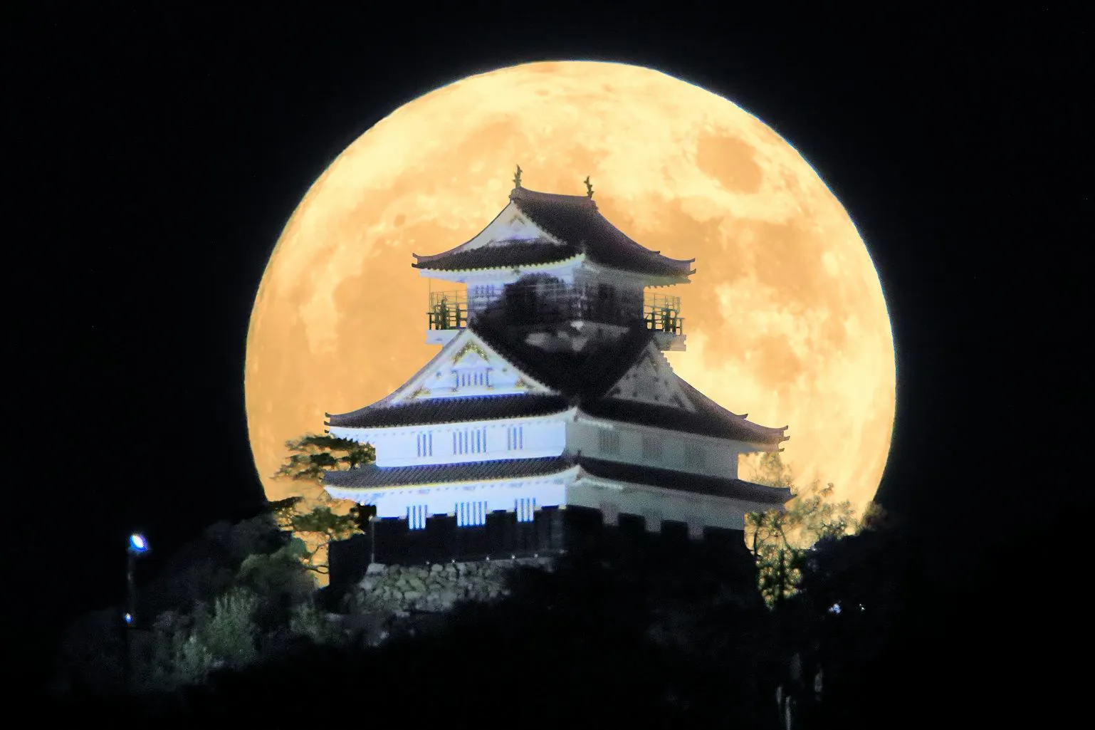 岐阜城に昇る満月 No.0000