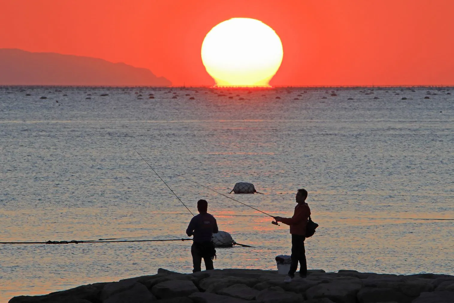 だるま夕陽を望む No.0000