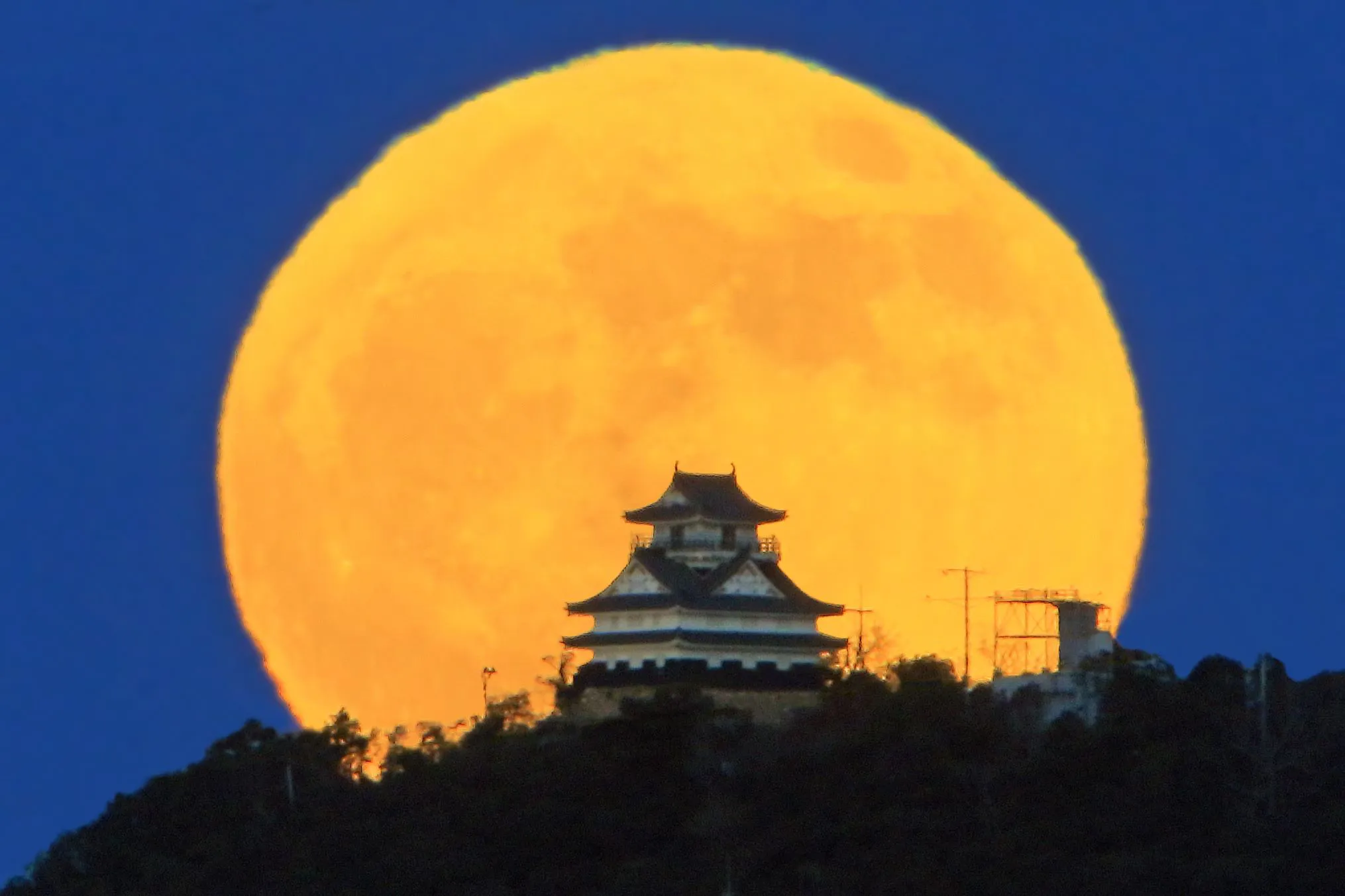 岐阜城に昇る満月 No.0000