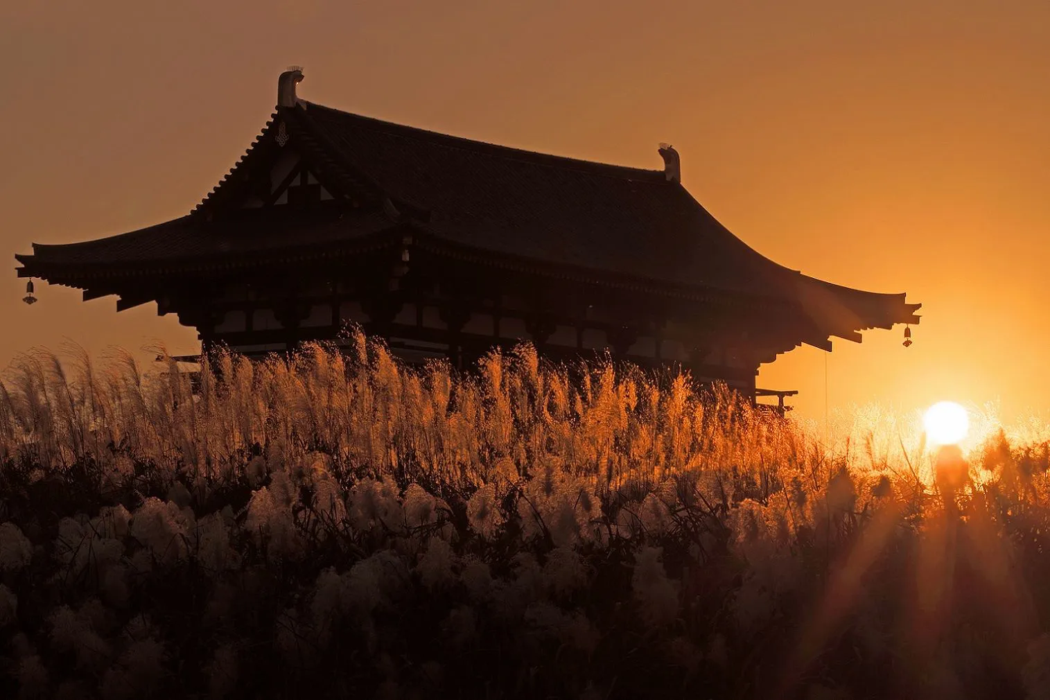 朱雀門と夕陽 No.0000