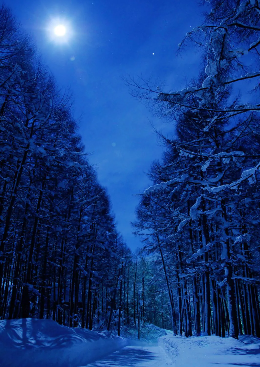 月夜の雪景色 No.0000