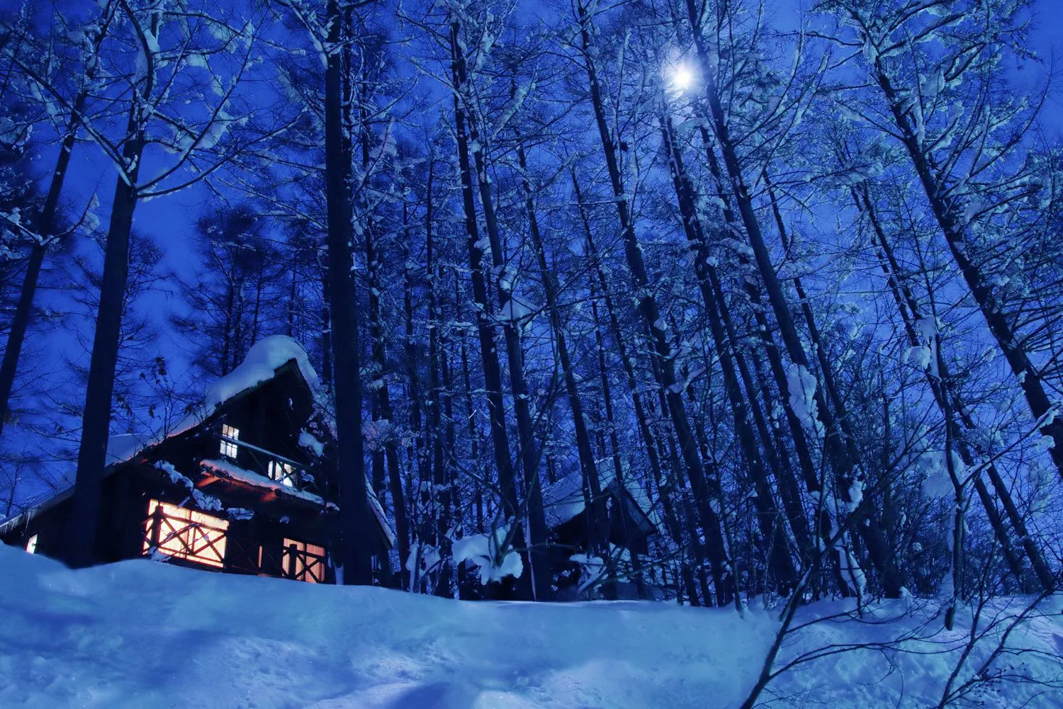 冬山の夜 No.0000