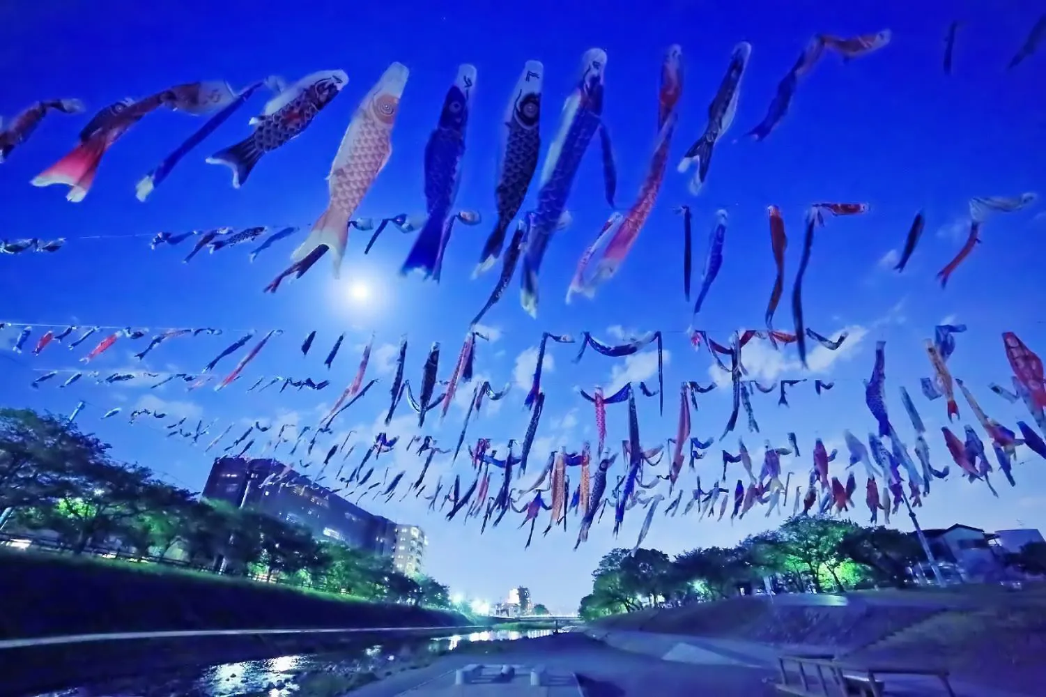 月夜に泳ぐ鯉のぼり No.0000