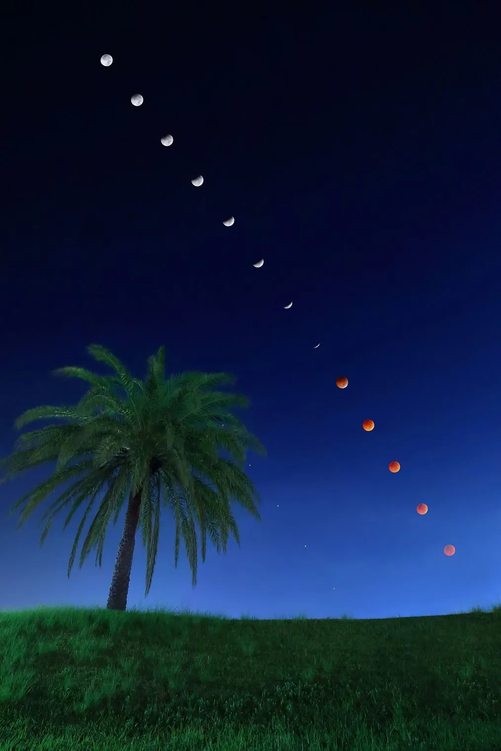 南国の皆既月食 No.0000