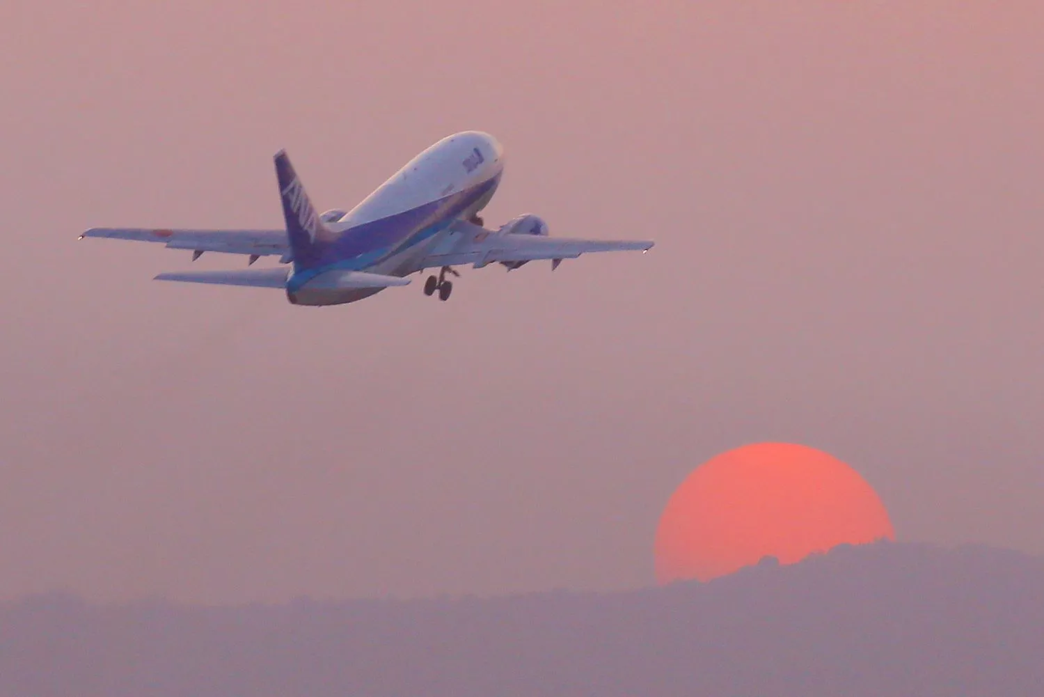 Take Off No.0000