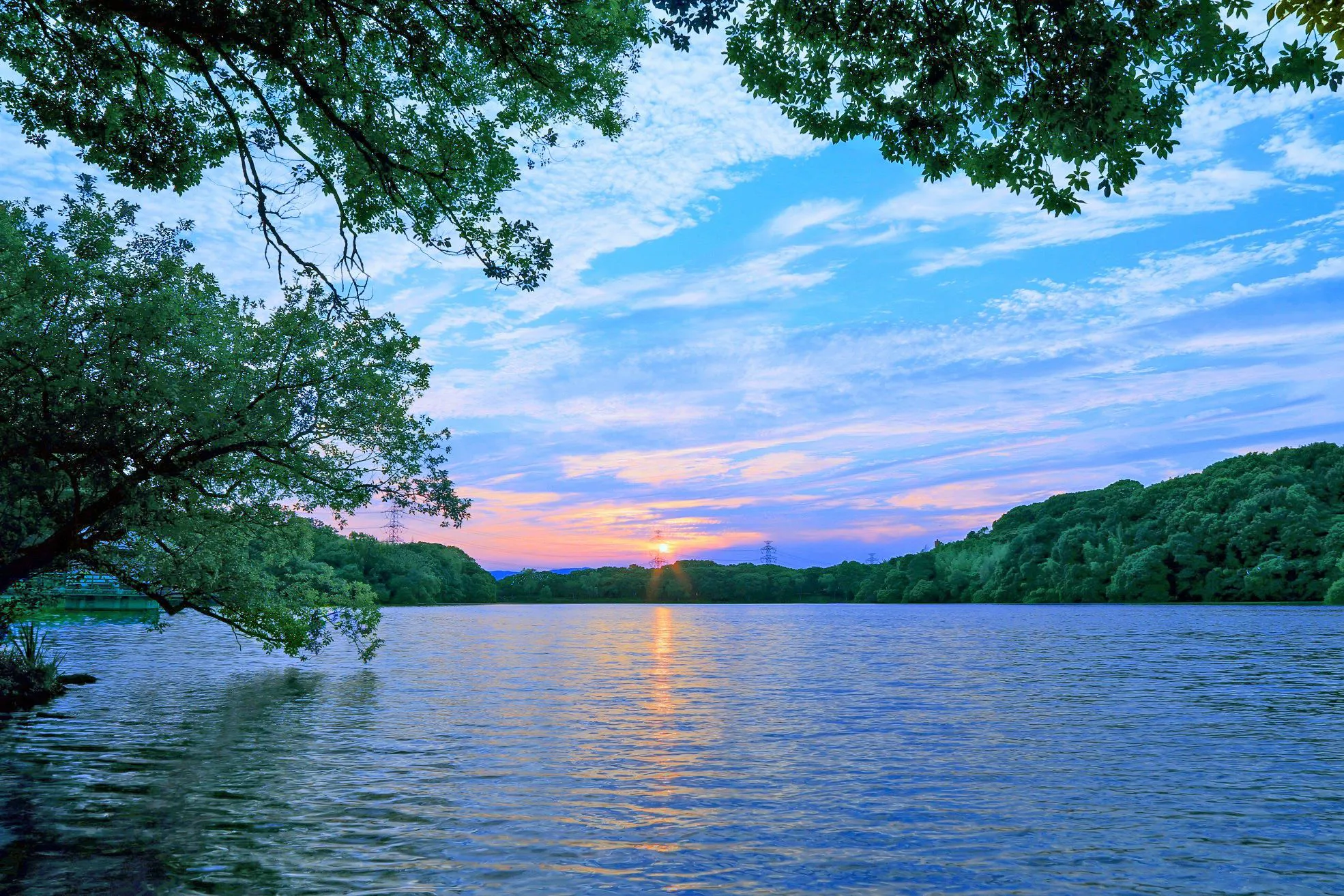 山田池の夕景 No.0000