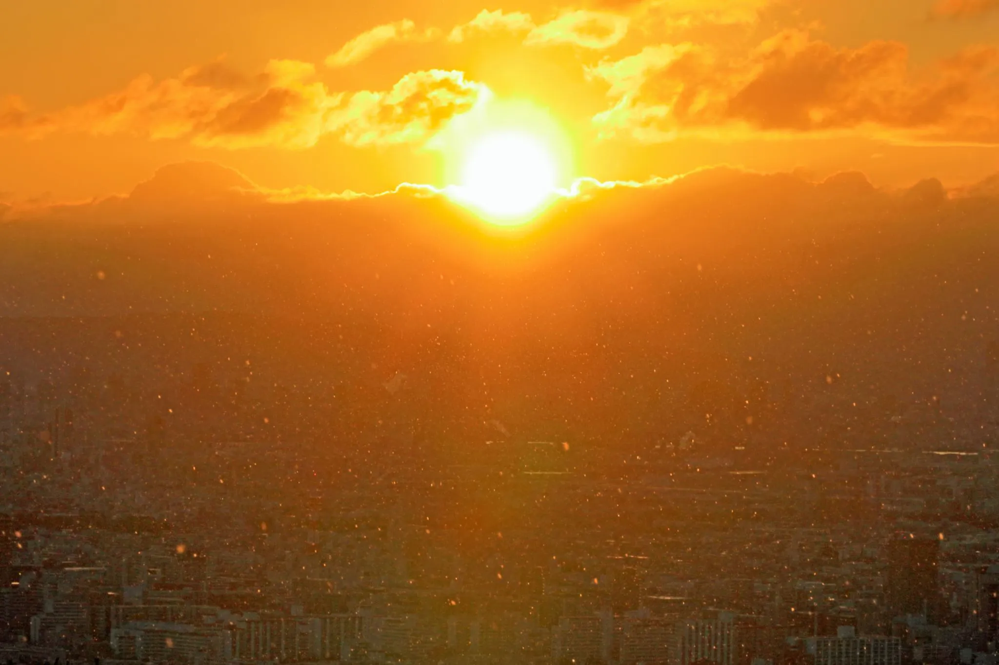 風花舞う初日の出 No.0000