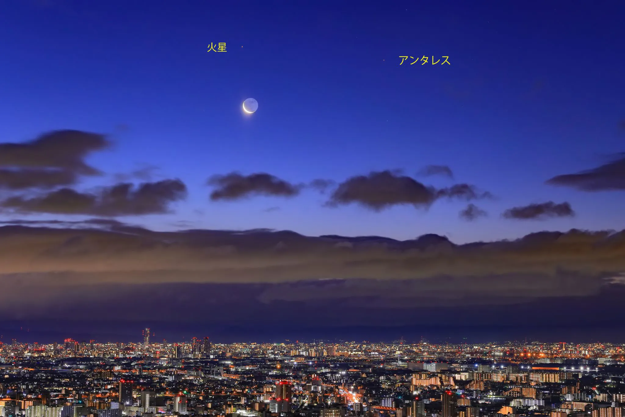 新年初ランデブー No.0000
