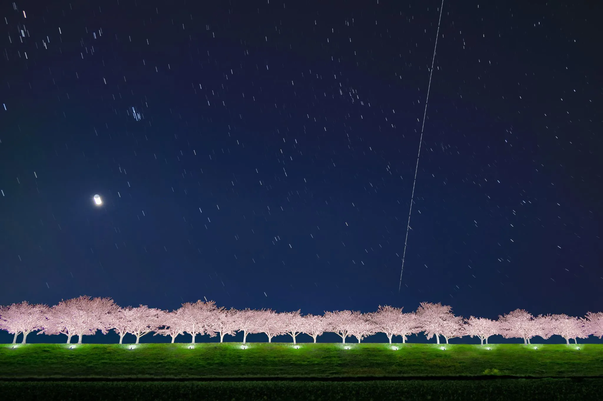 夜桜と月と国際宇宙ステーション No.0000