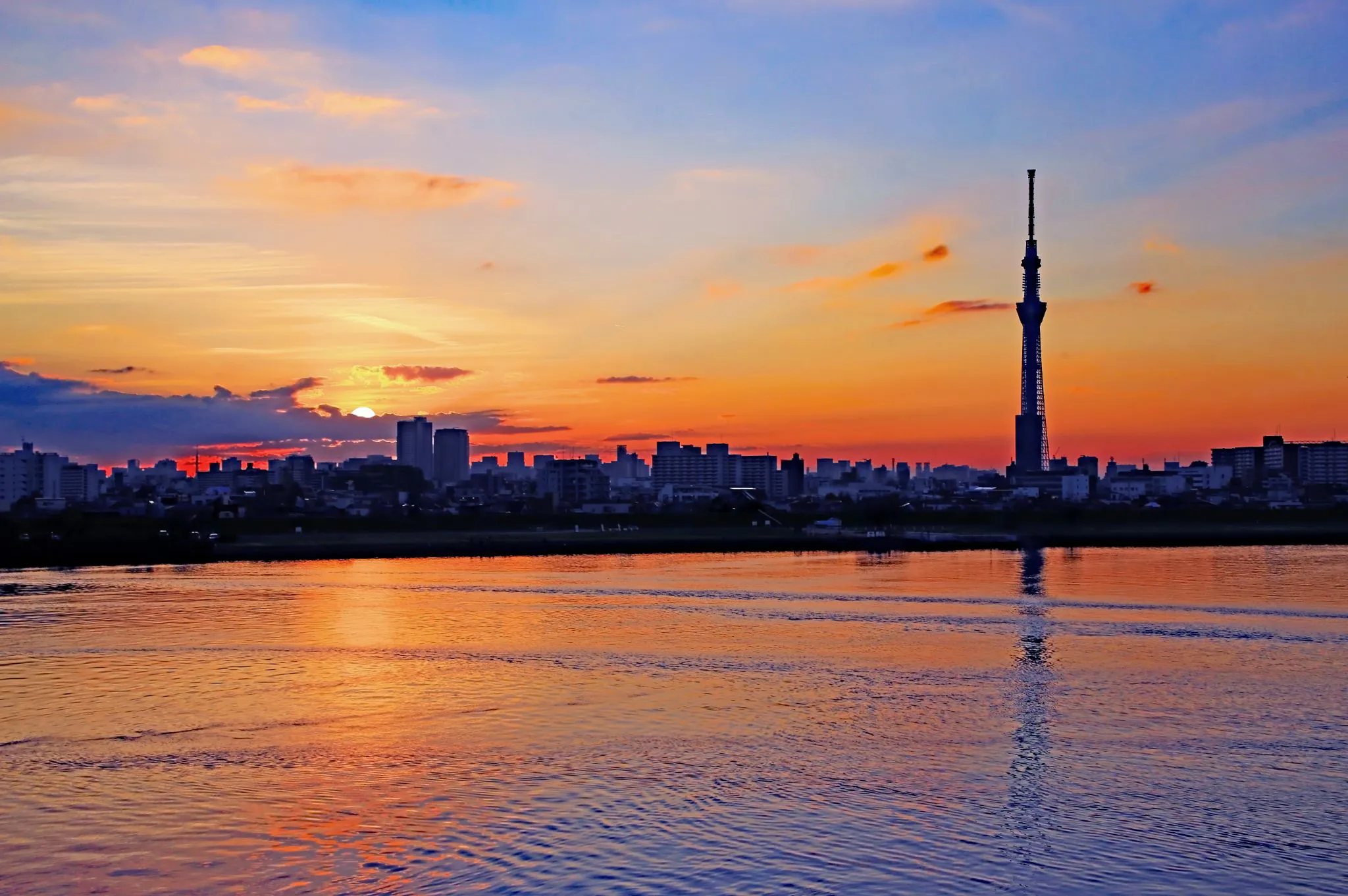 スカイツリーと夕陽のコラボ No.0000