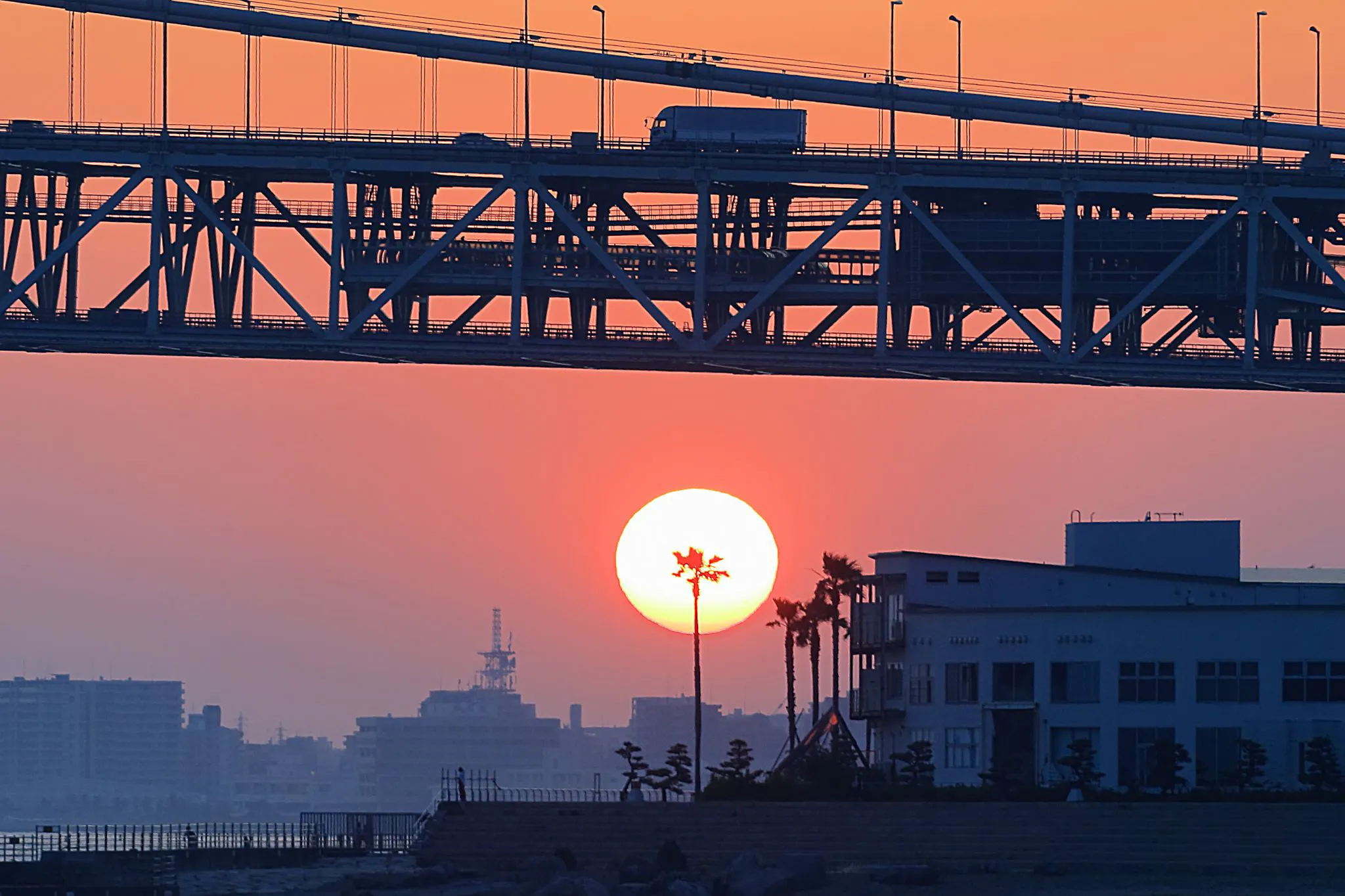 パームツリーと重なる夕日 No.0000