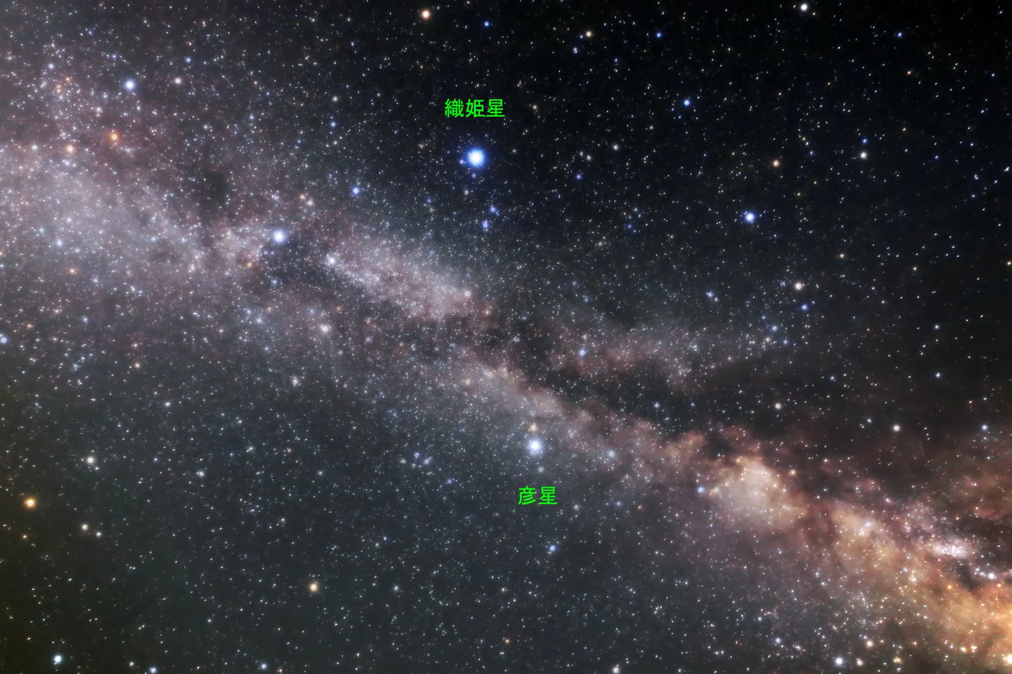 七夕の星々 No.0000