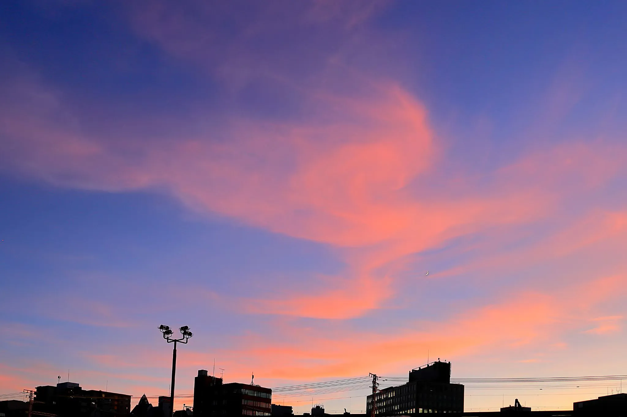 夕空の火の鳥 No.0000