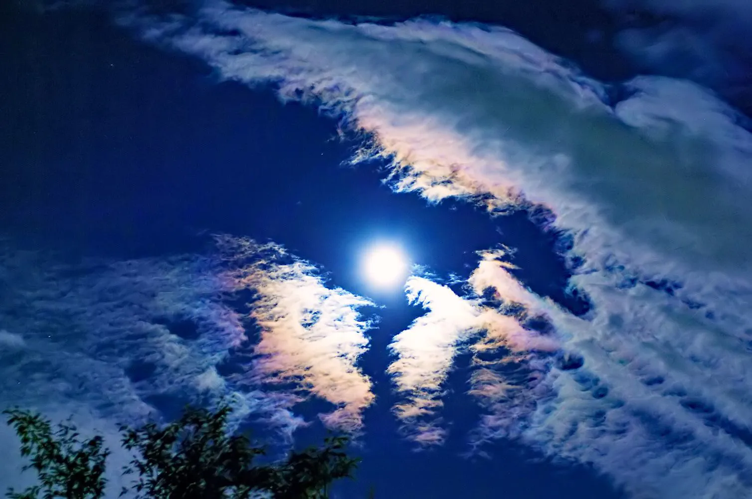 月夜の彩雲 No.0000