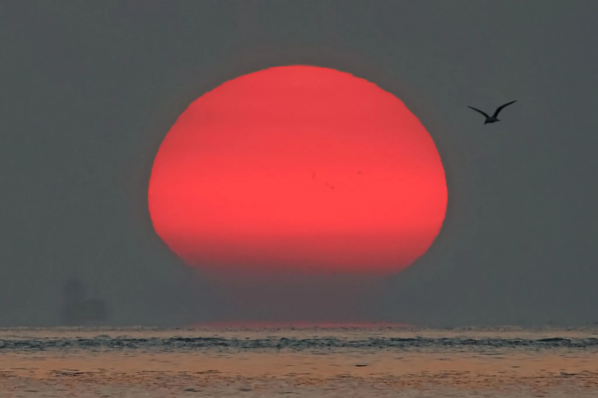 黒点がある夕日 No.0000