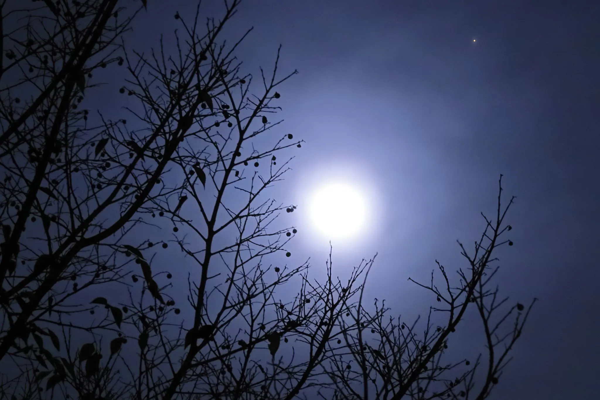 朧月と火星 No.0000