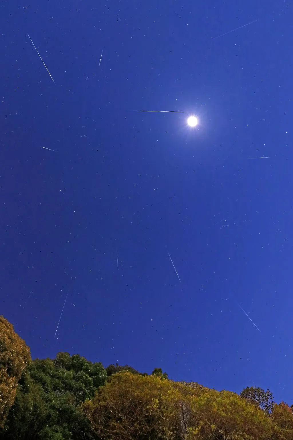 月夜のふたご座流星群 No.0000