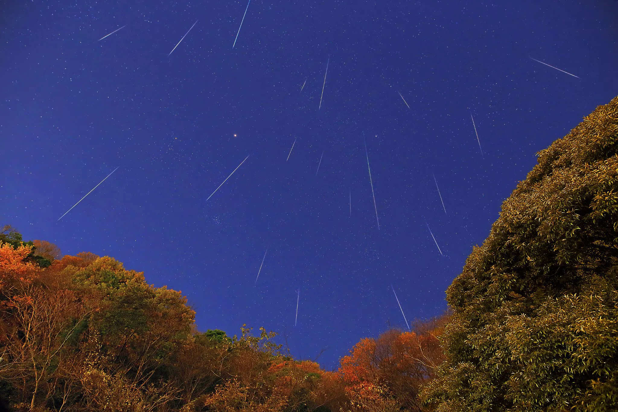 紅葉に舞う流れ星 No.0000