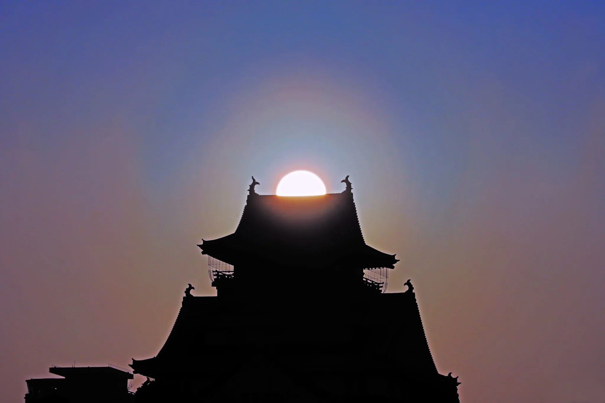 天守閣にも花粉光環 No.0000