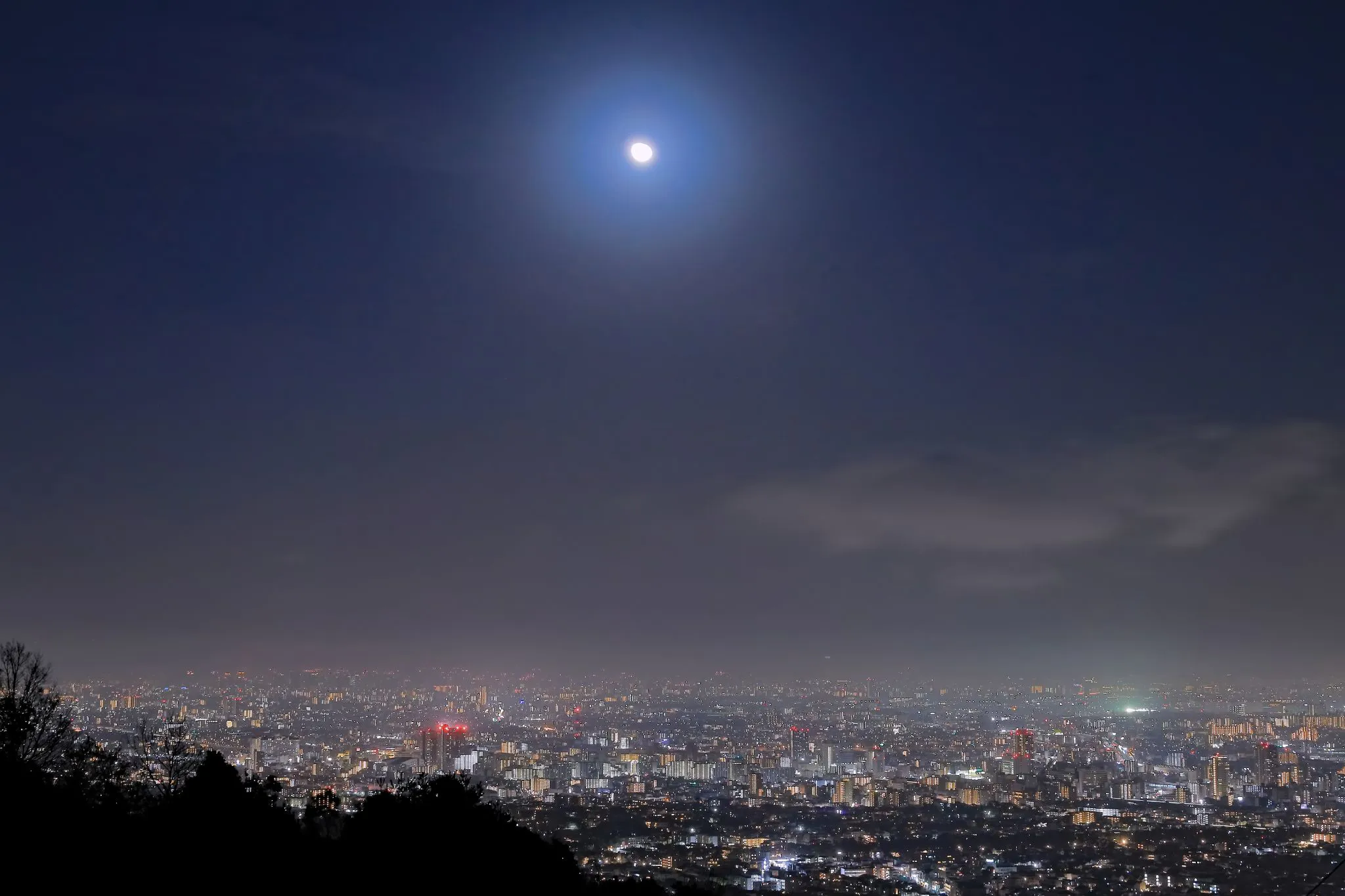 春霞の夜の月 No.0000