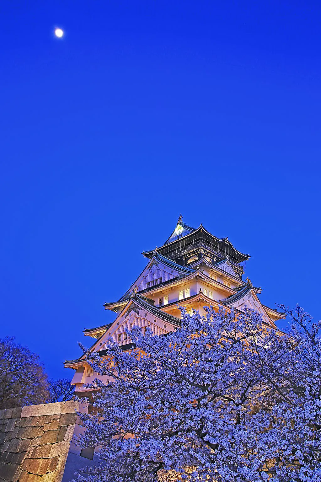 月が見下ろす天守閣 No.0000