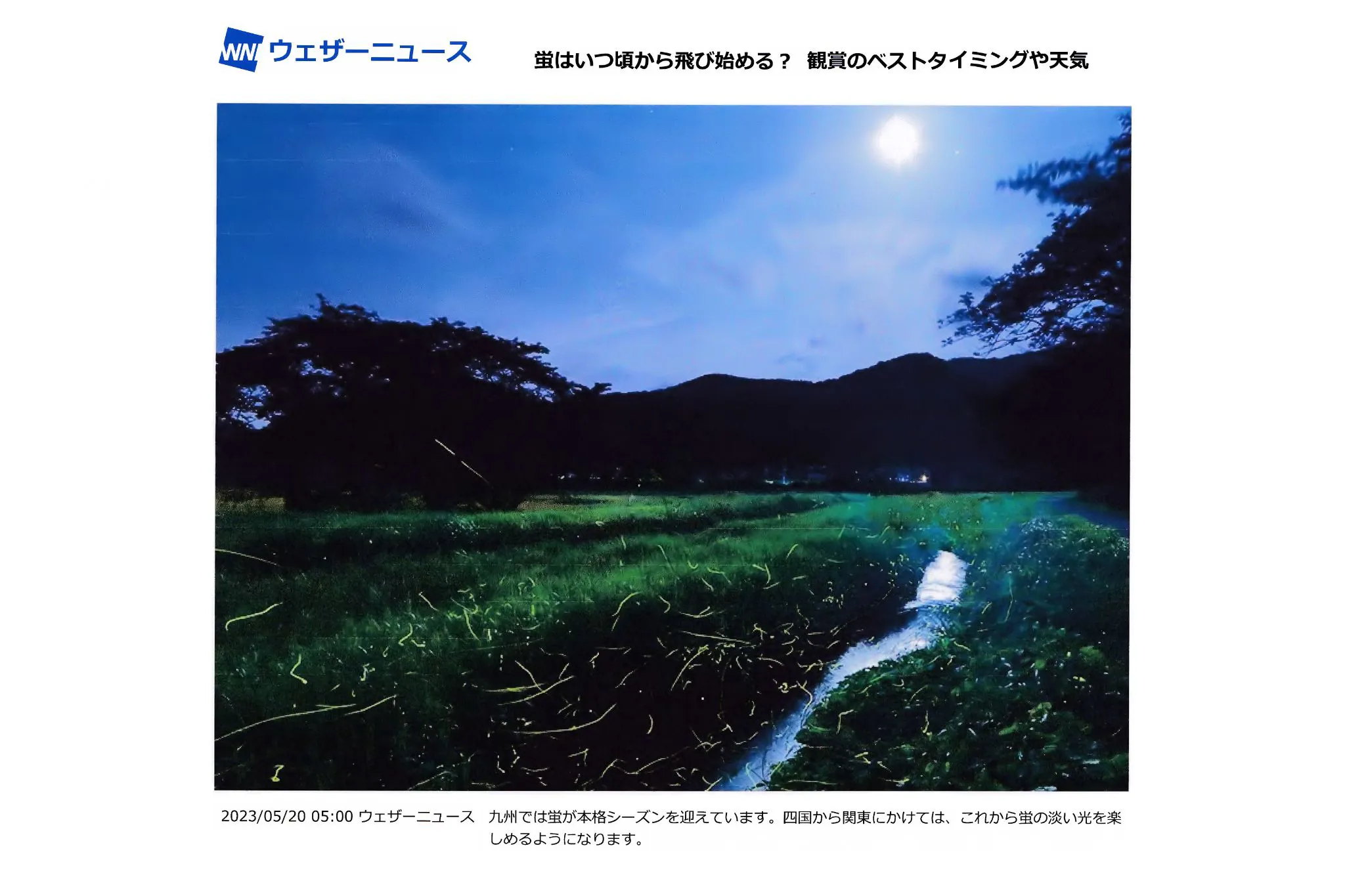 月夜に舞う蛍 No.0001