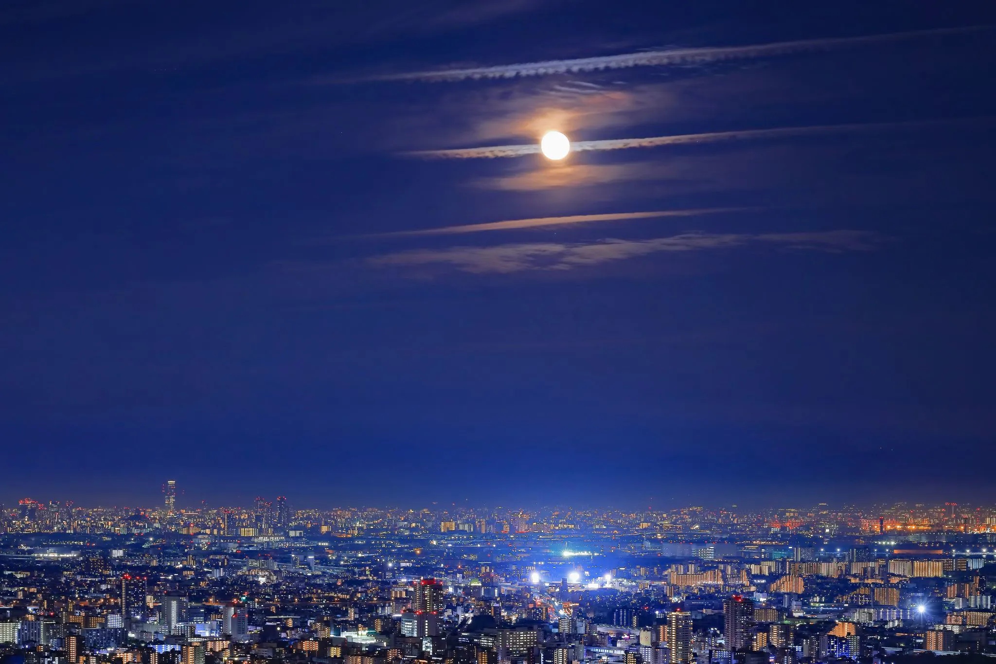 十六夜 No.0000