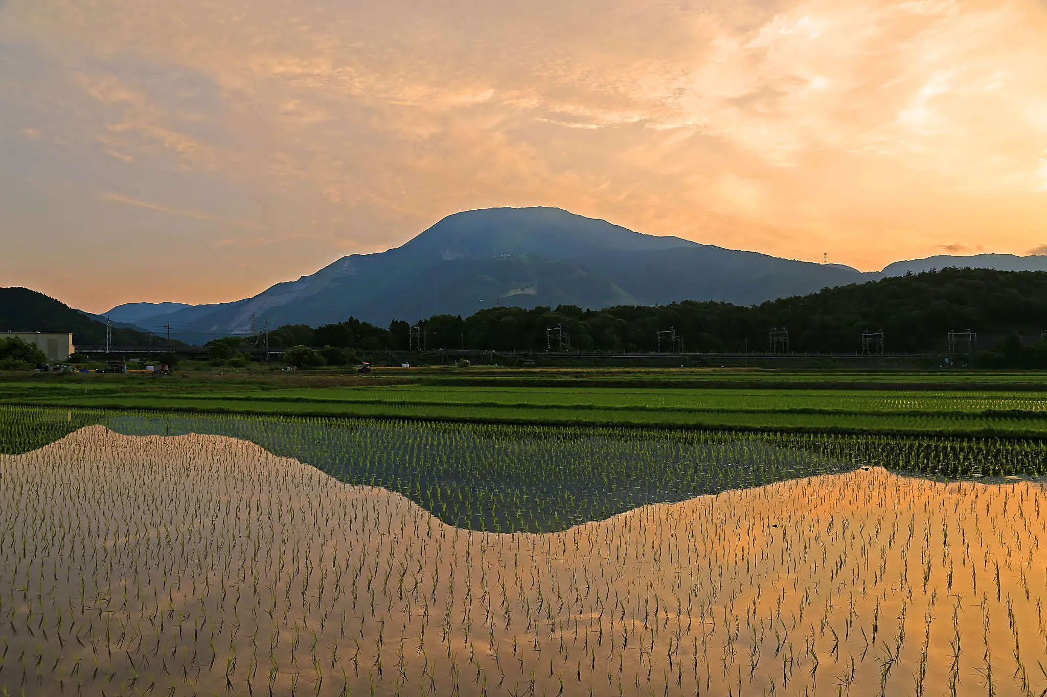 伊吹山の朝 No.0000