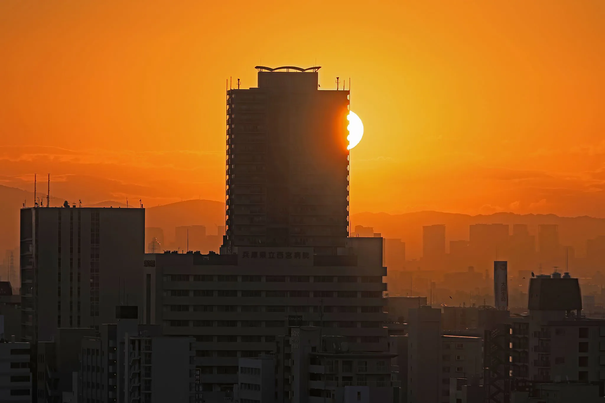 朝陽の出 No.0000