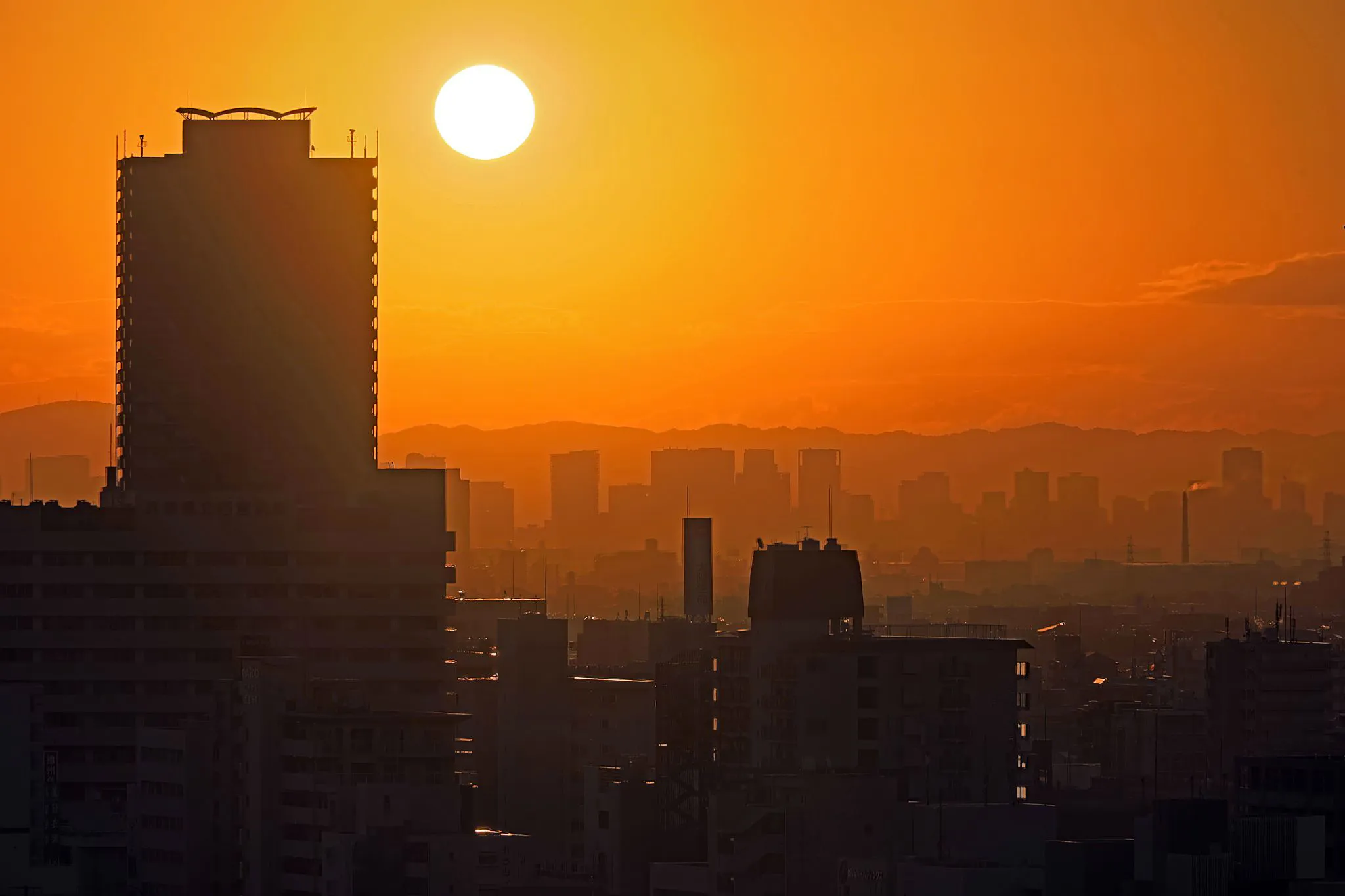 都市の朝 No.0000