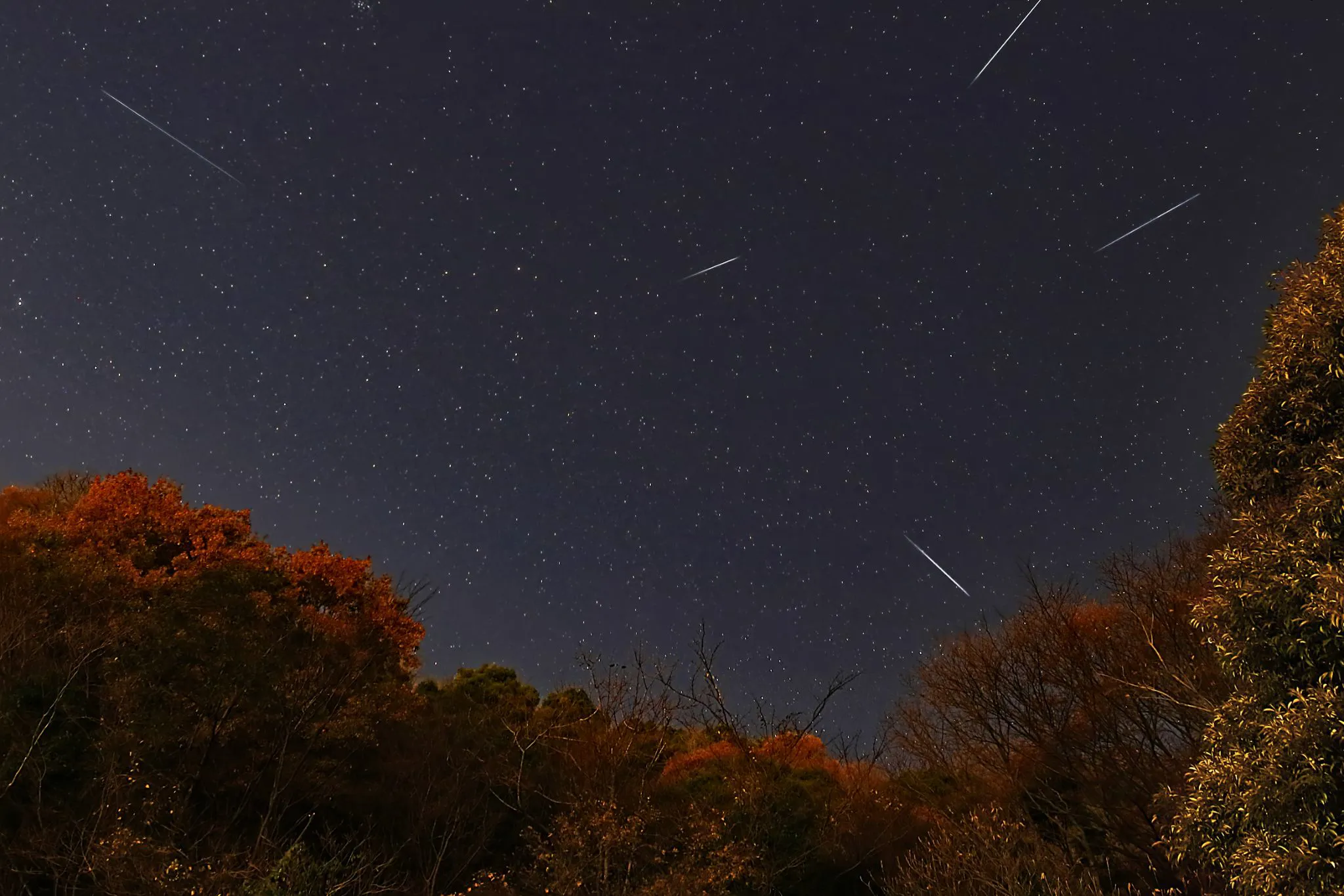 ふたご座流星群 No.0000