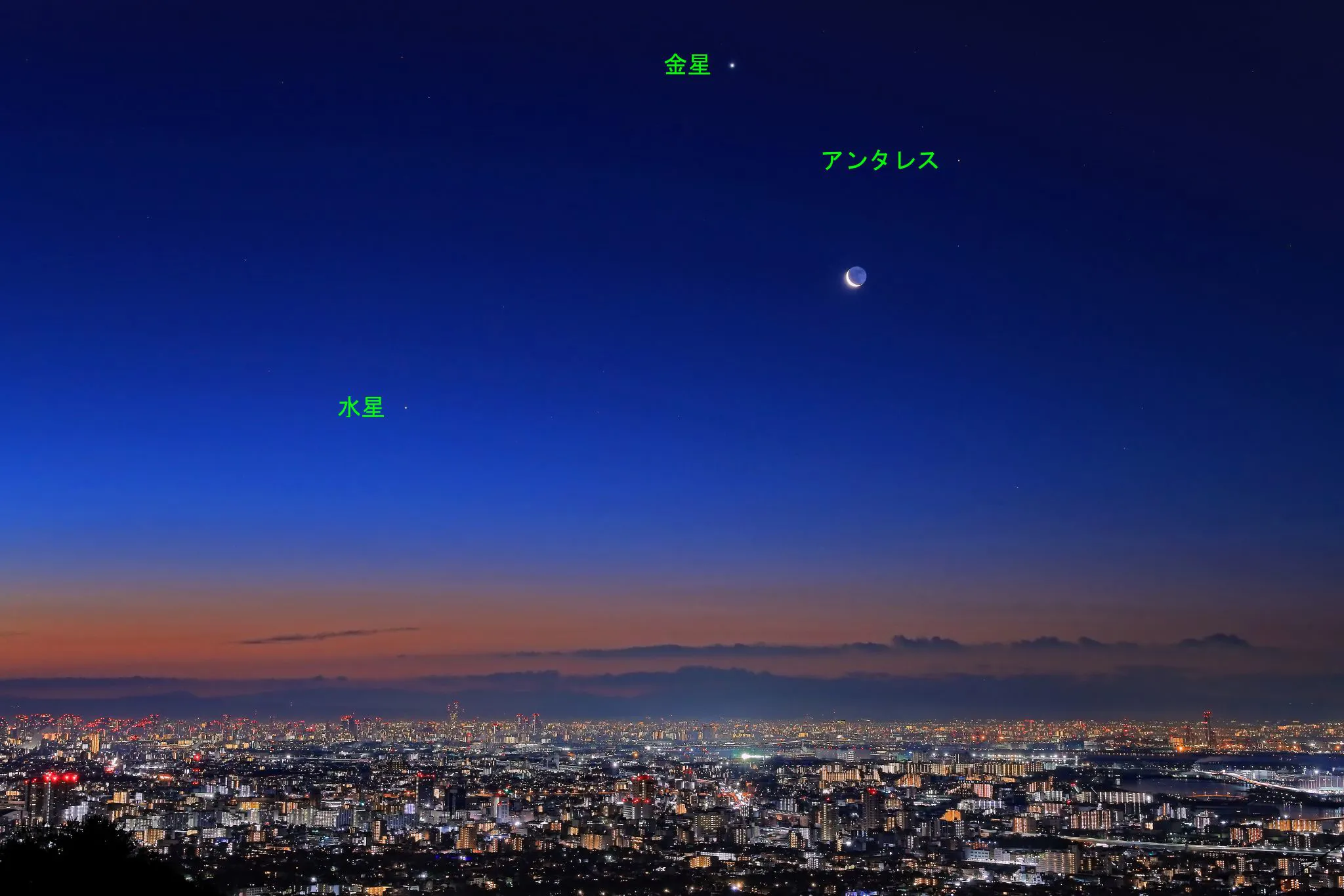 夜明けのランデブー No.0001