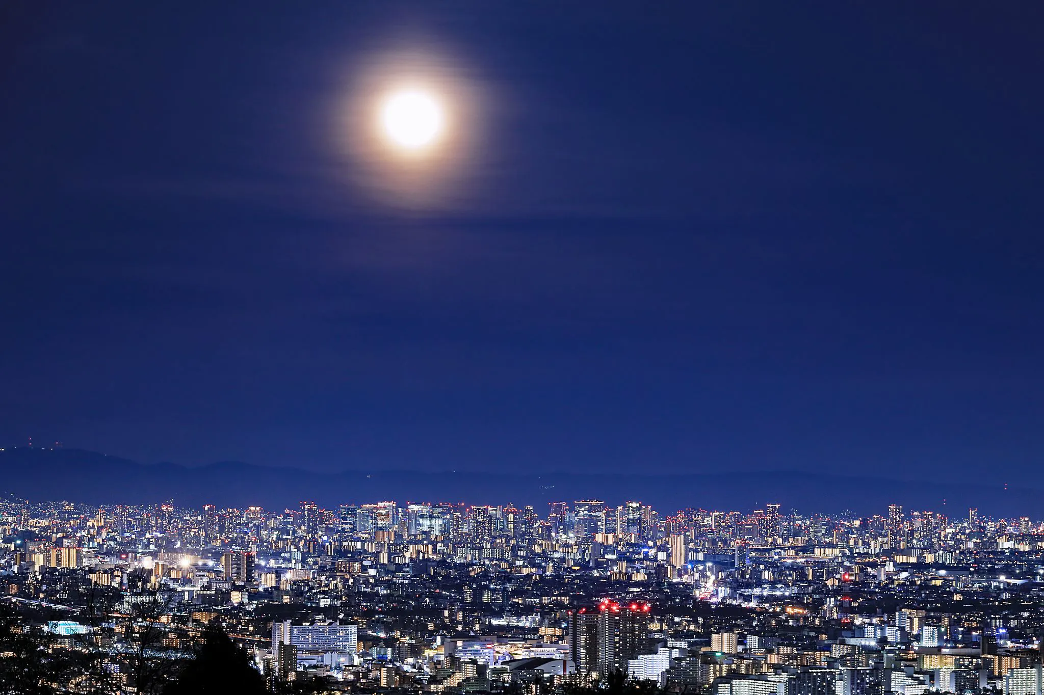 夜景に昇る朧月 No.0000