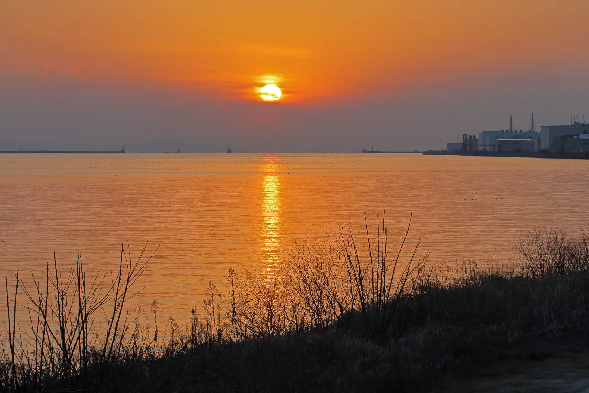 大和川河口の夕景 No.0001
