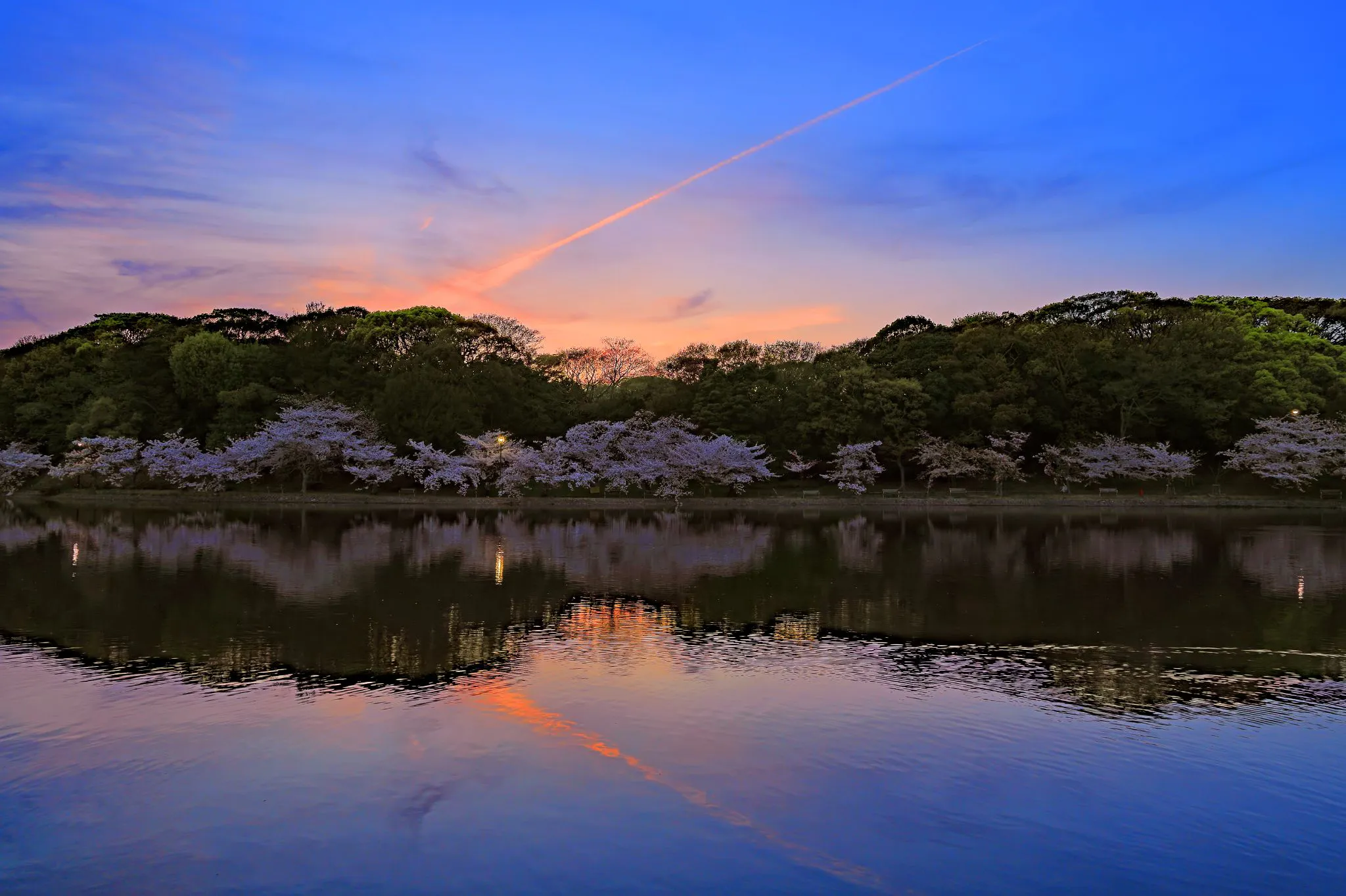剛ノ池の夕景 No.0000