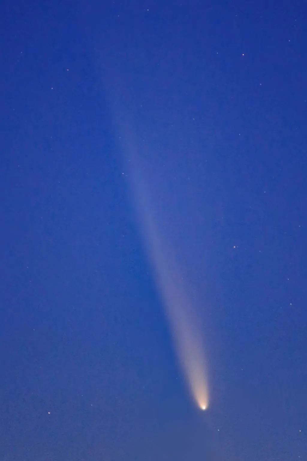 紫金山・アトラス彗星 No.0000