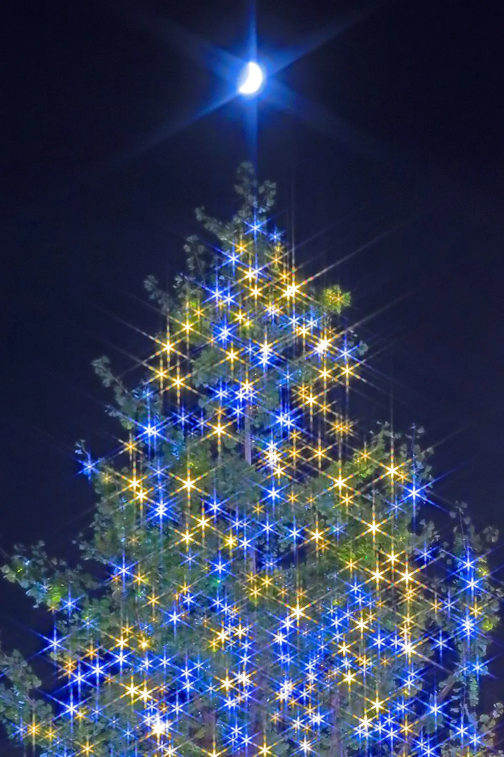 ムーンXmasツリー No.0000