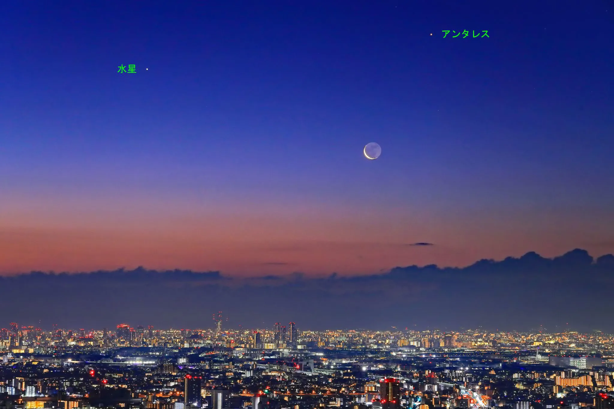 2024年最後の月 No.0001