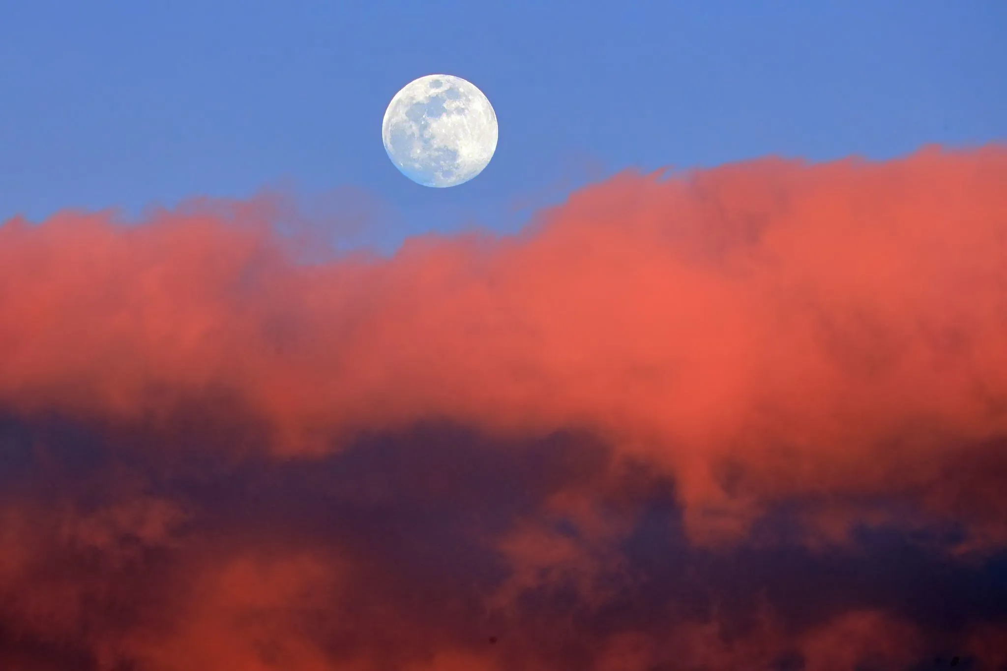 14th moon No.0000