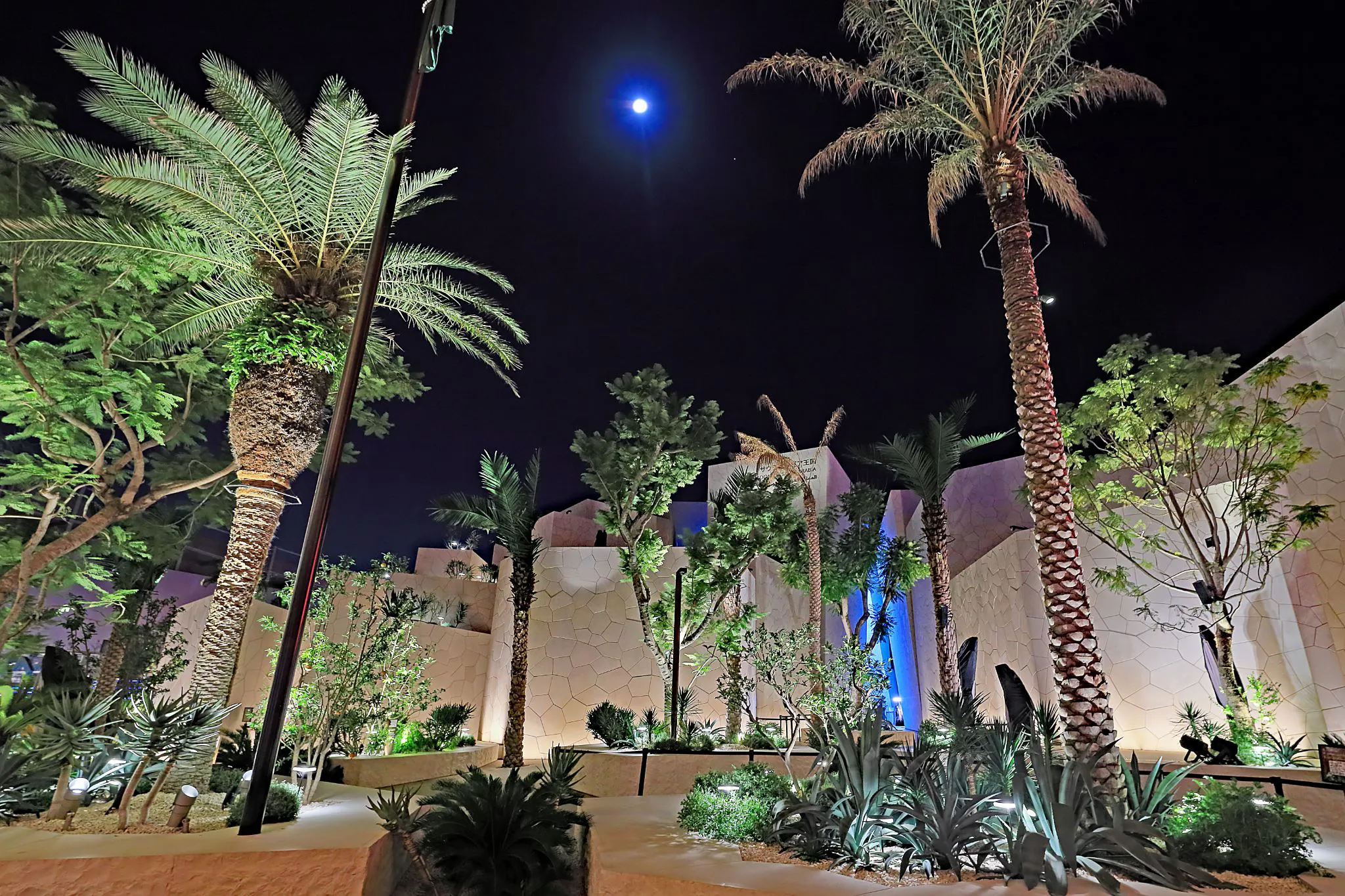 Harvest Moon from EXPO2025 No.0002
