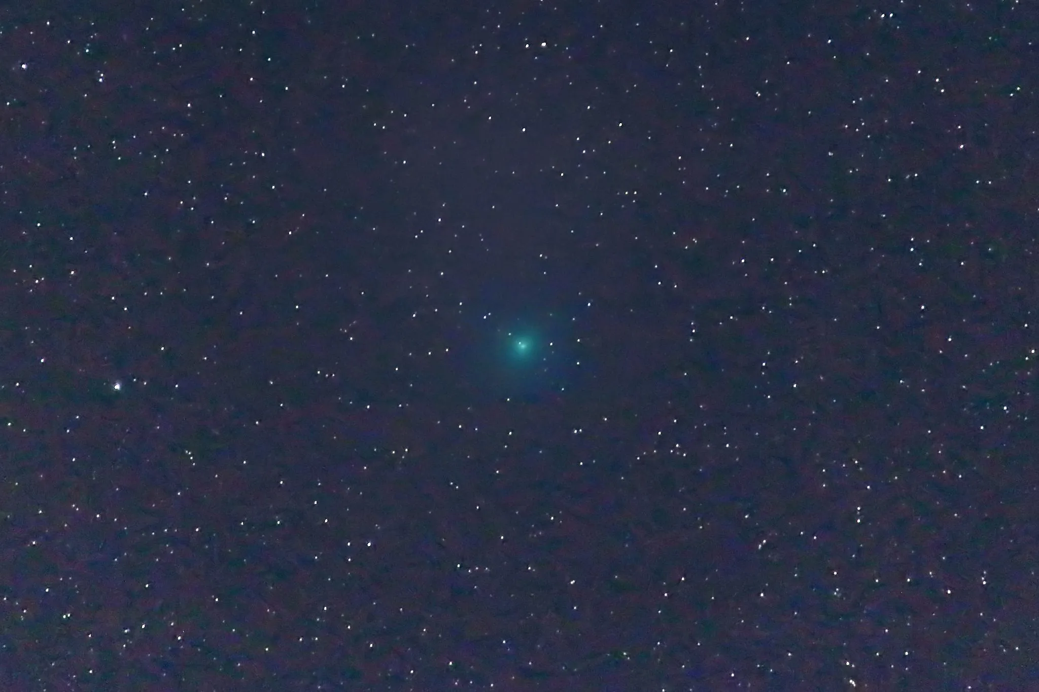 スワン彗星 No.0000