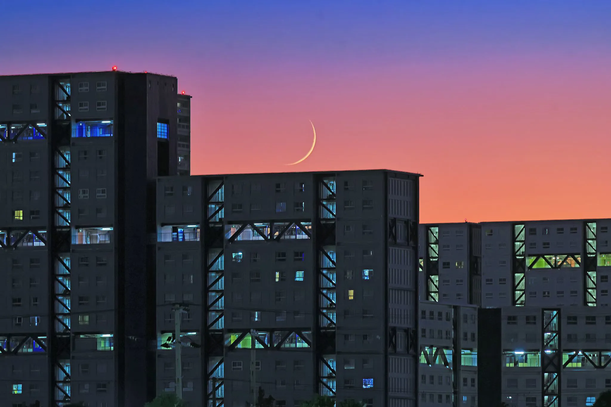シーサイドタウンの繊月 No.0001