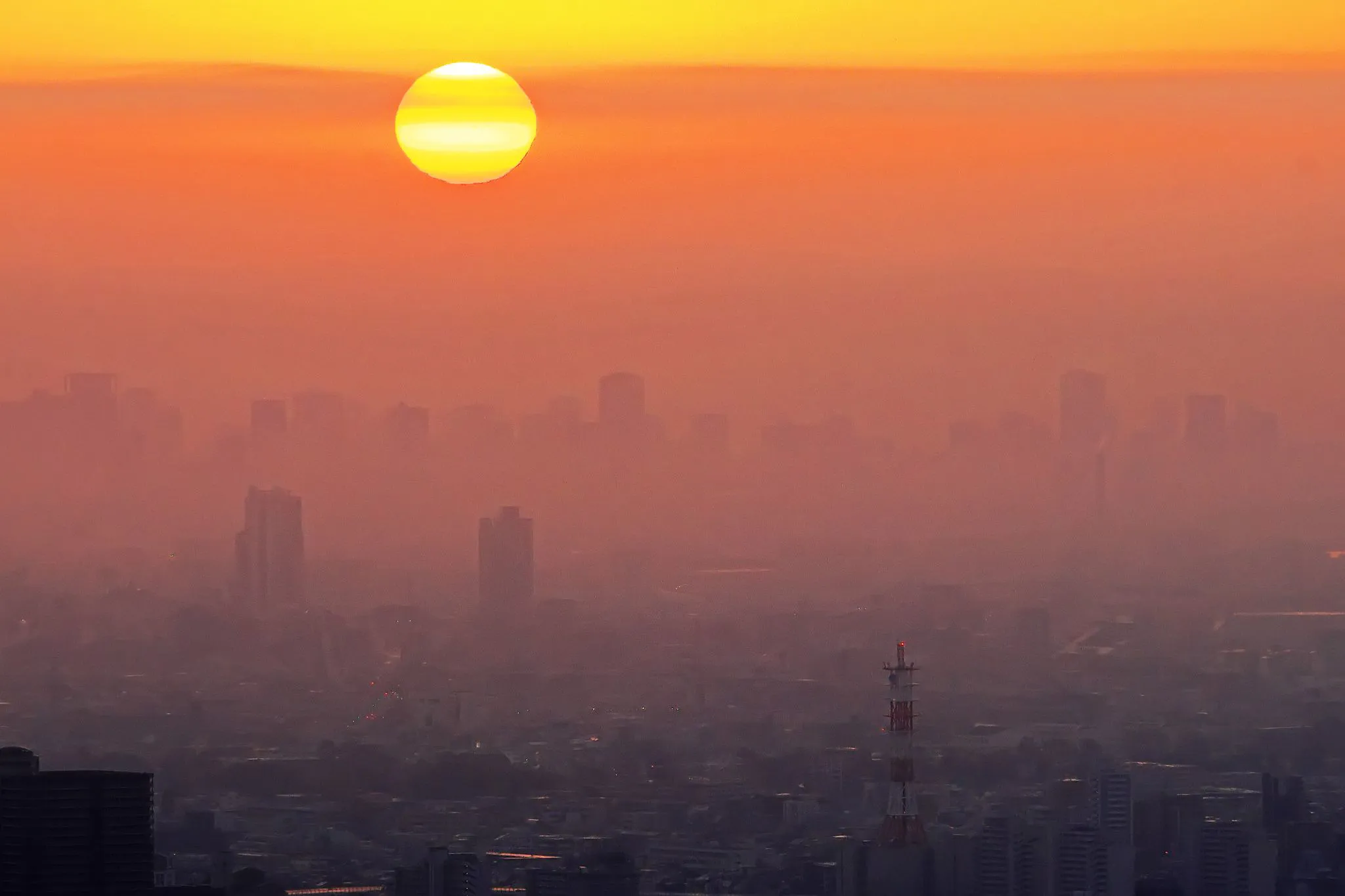 黄砂に霞む朝日 No.0000
