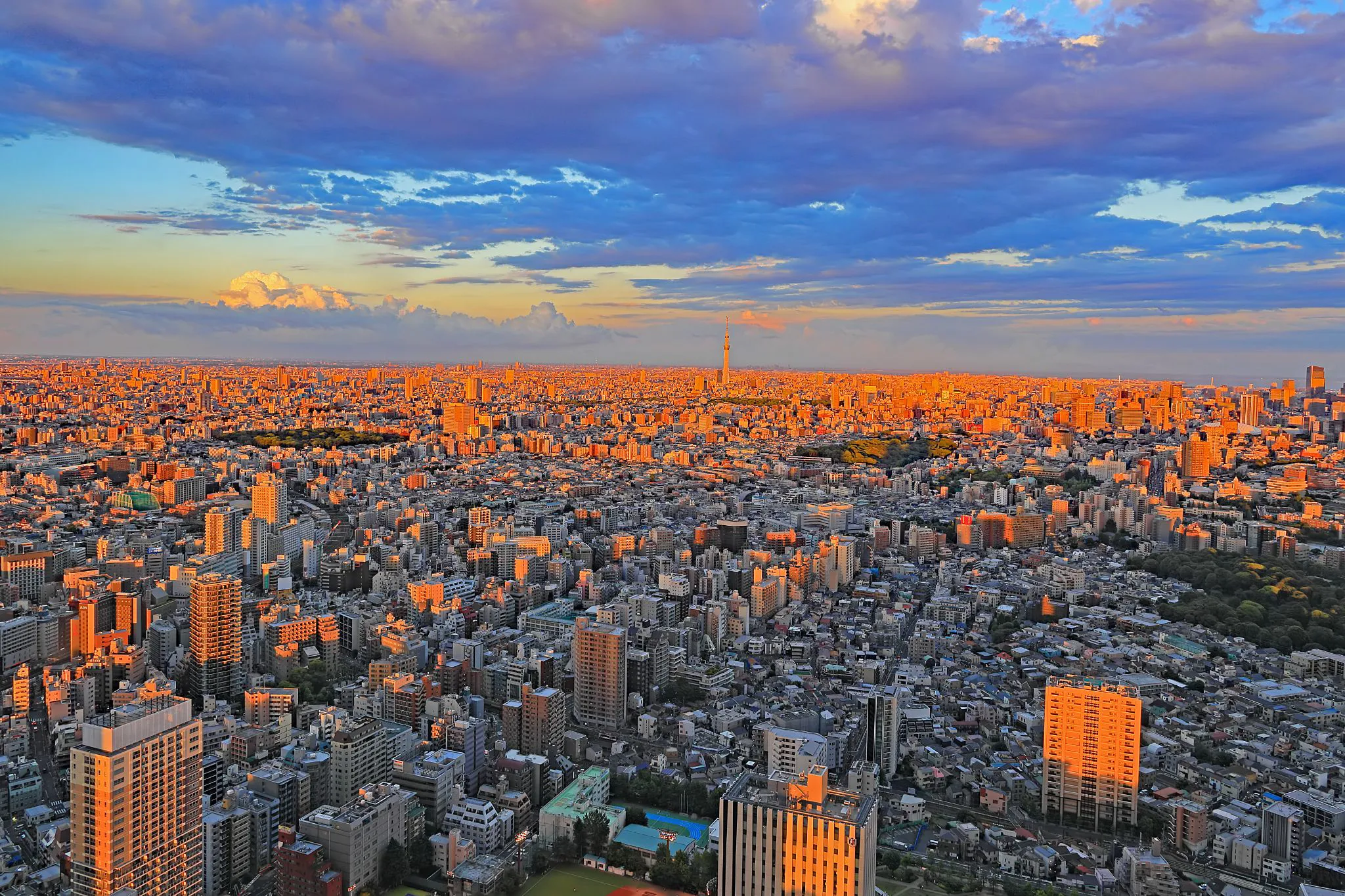 都会の夕景 No.0001