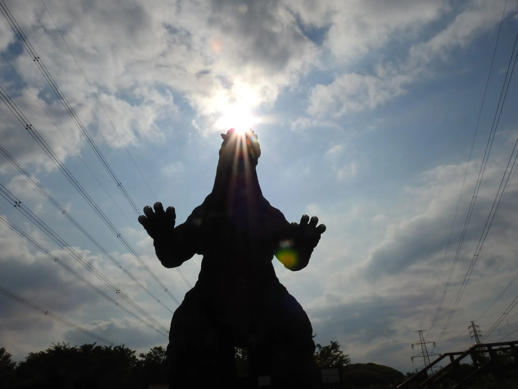 ゴジラの頭に夕日 No.0000