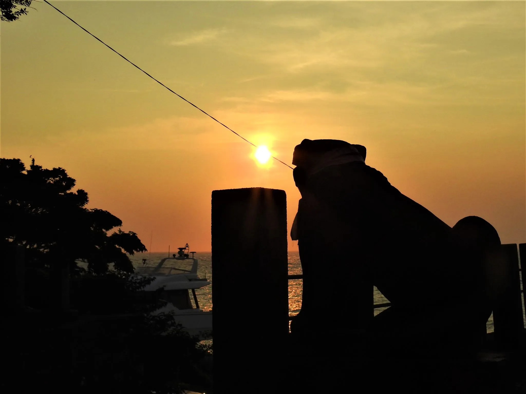 狛犬と夕焼け No.0000