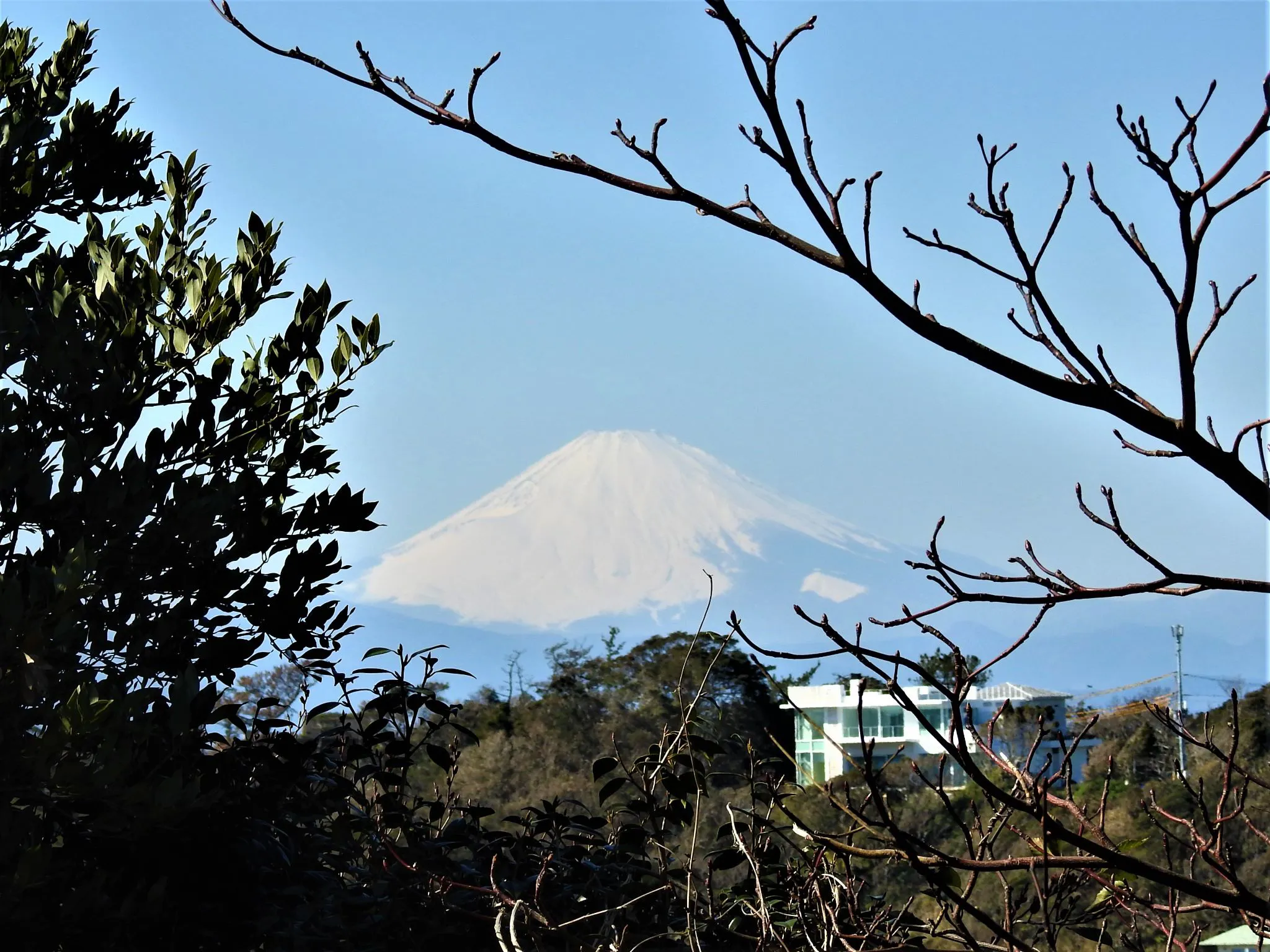 三浦からの富士山 No.0000
