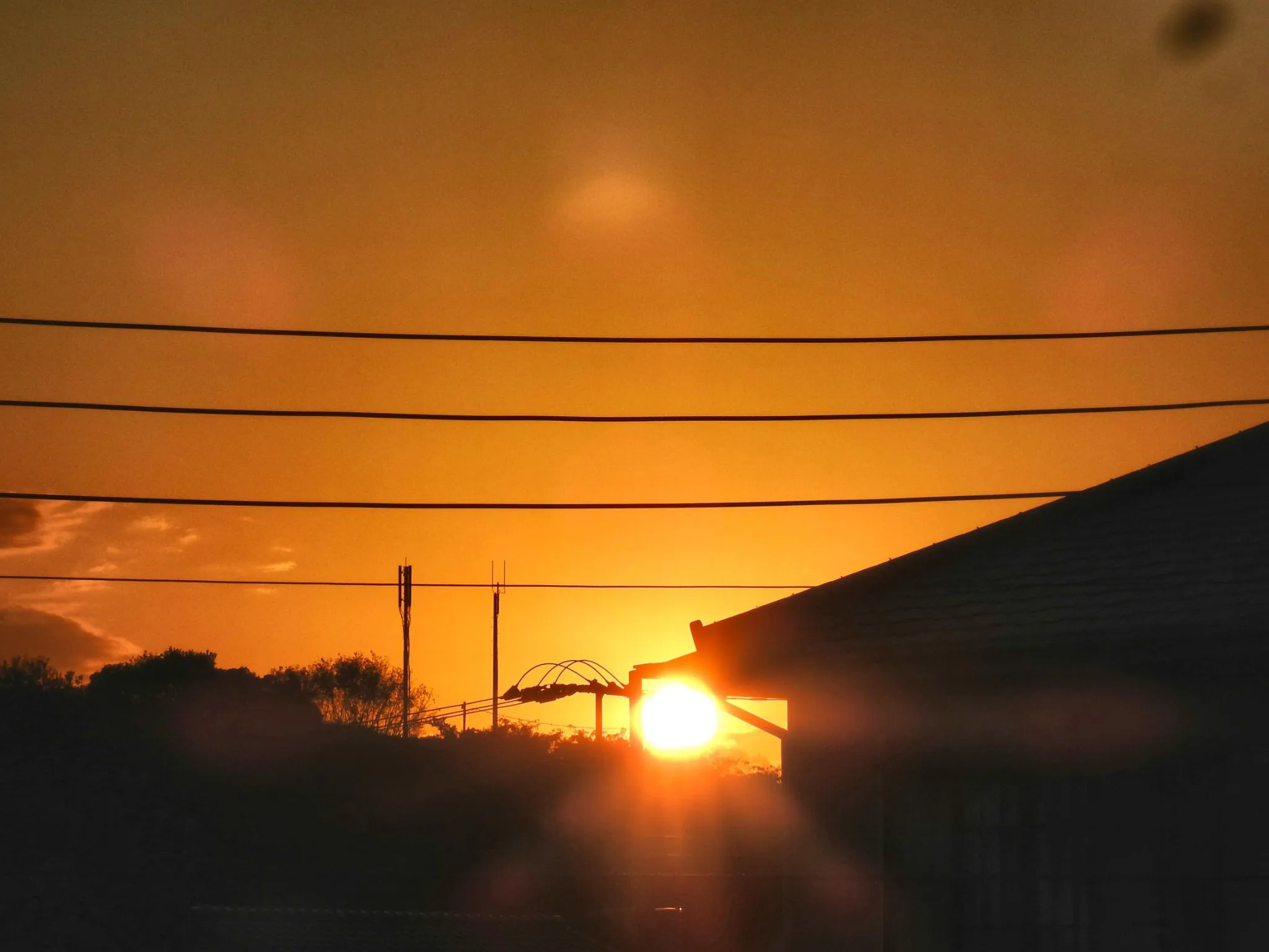 夕日 No.0000